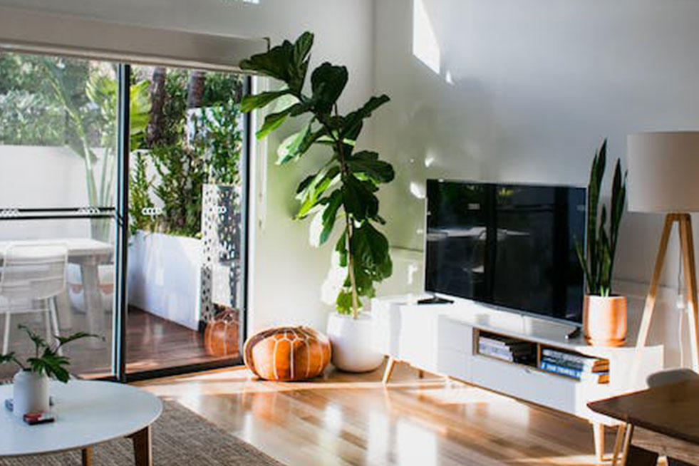 interior view of the house