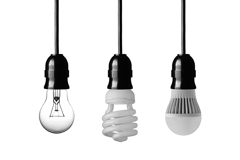 Choosing the Right Light Bulbs for Energy Efficiency